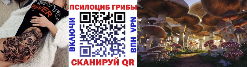 кракен ССЫЛКА  Выкса  Псилоцибиновые грибы ЛСД 